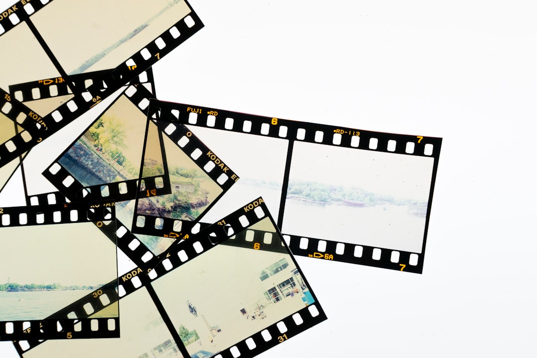 A Beginner's Guide to Video Format Compatibility