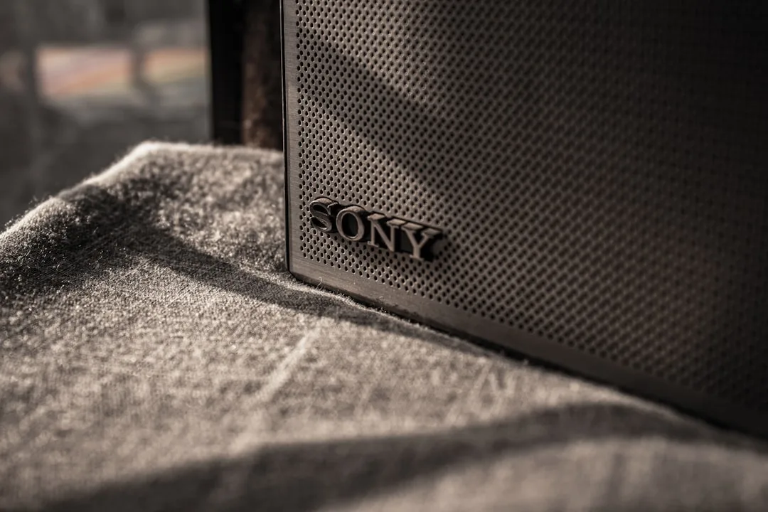 Key Differences Between Lossy and Lossless Audio Formats