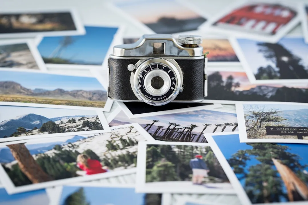 The Ultimate Guide to Choosing the Right Image Format